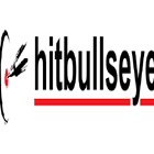 hitbullseye coupons