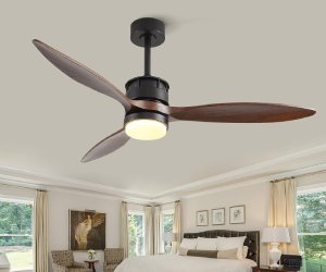 Ceiling Fan Under 1000